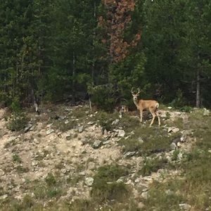 Meet your Posher, Juan